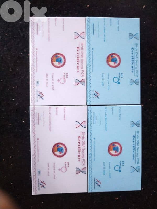 لوري مع DNA صور DNA موجودة 8