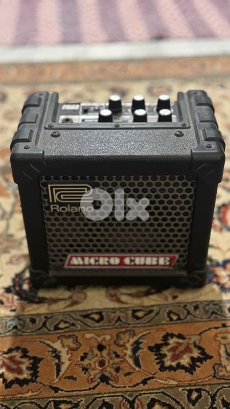 Samick Acoustic-Electric Guitar + Roland Amplifier 4