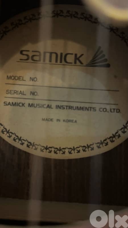 Samick Acoustic-Electric Guitar + Roland Amplifier 5
