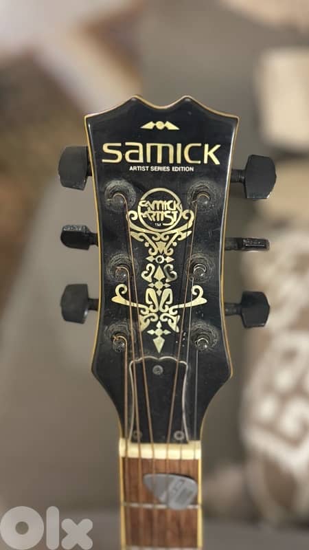 Samick Acoustic-Electric Guitar + Roland Amplifier 8