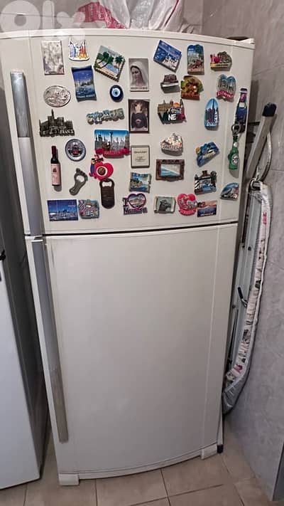 refrigerator and freezer