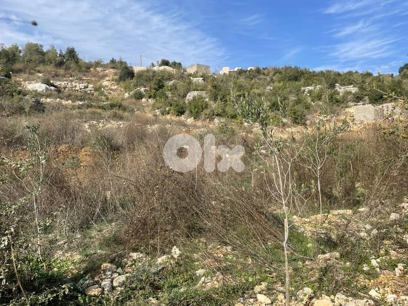 RWB182PK - Land for sale in Jbeil - Hjoula 8