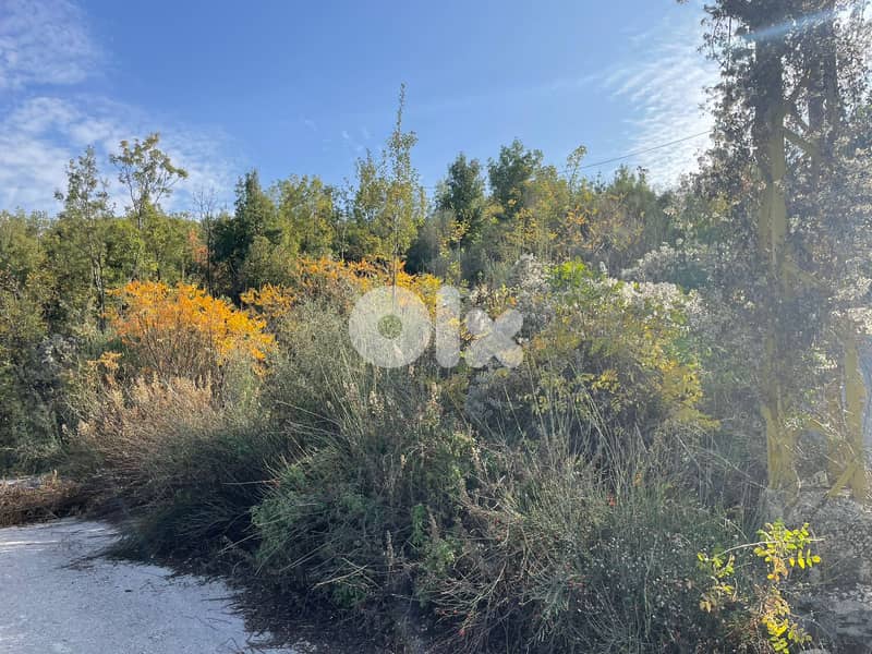 RWB186PK - Land for sale in Mechmech Jbeil 4