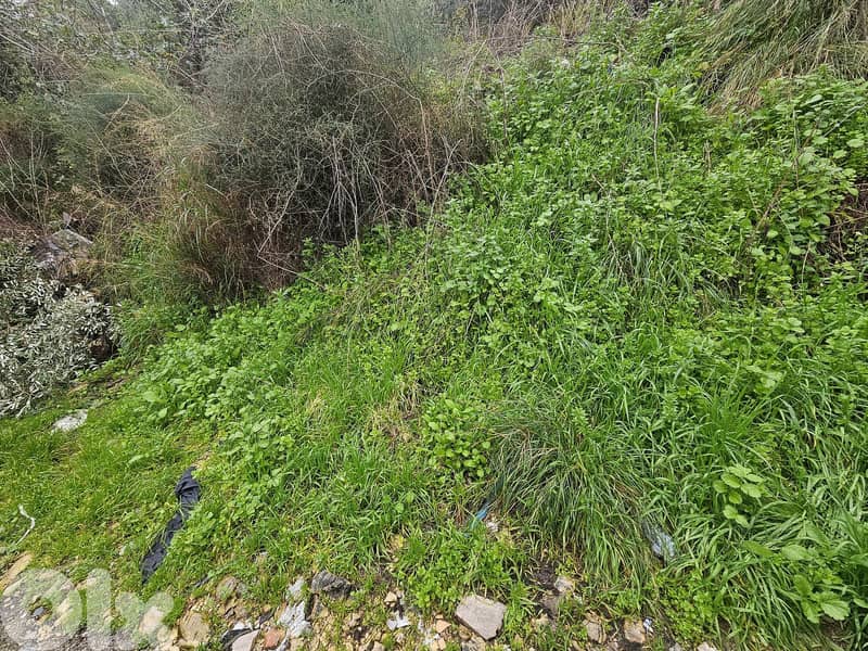 RWB259MT - Land for sale in Blat Jbeil 2