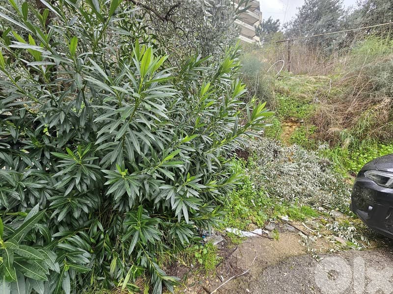 RWB259MT - Land for sale in Blat Jbeil 3