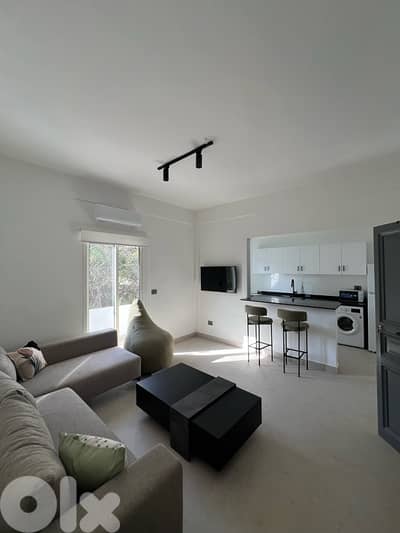 Newly renovated apartment in Soho Beirut