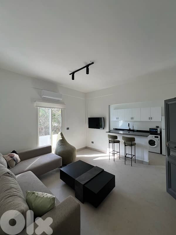 Newly renovated apartment in Soho Beirut 0