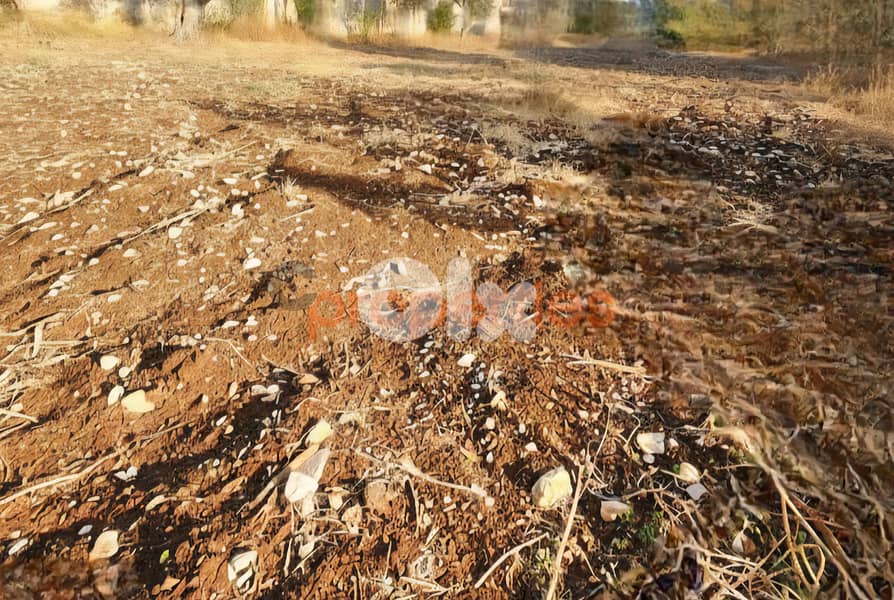 Land for sale in Amchit – Jbeil – CPJMH28 0