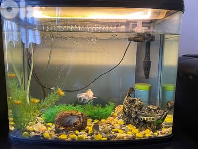 aquarium 50cm - 40cm + water pump filter + makent oxygen 80$