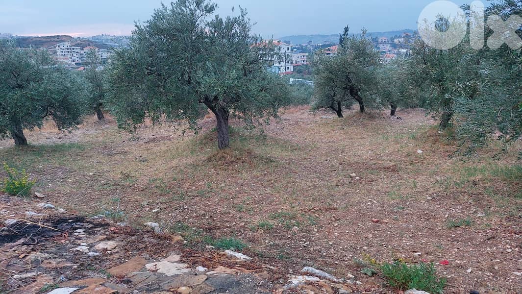 Land for sale in Kfarsaroun - أرض للبيع في كفرصارون 0