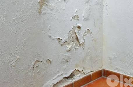 دهان ضمن بيروت.  60$بس رطوبة  وتبييض غرف