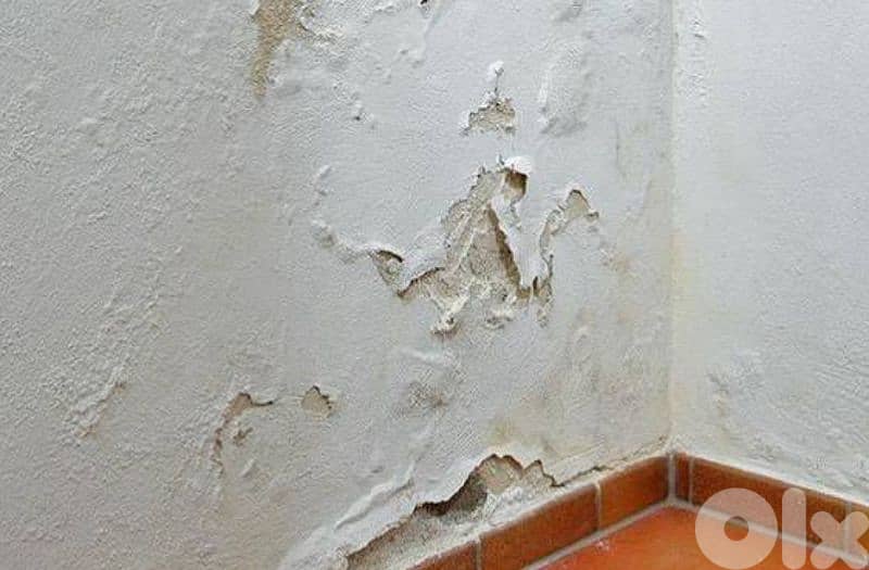 دهان ضمن بيروت.  60$بس رطوبة  وتبييض غرف 0