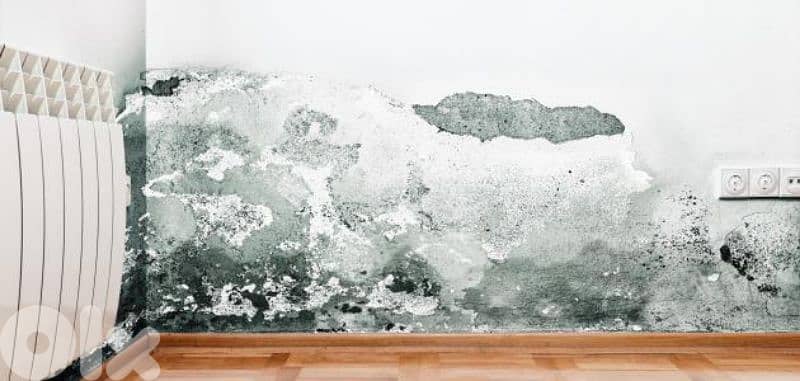 دهان ضمن بيروت.  60$بس رطوبة  وتبييض غرف 1