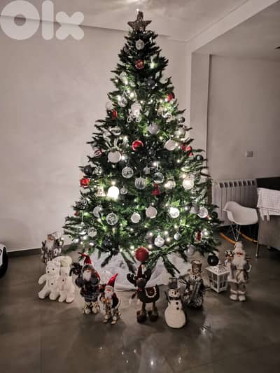 Gorgeous, Full-Profile Big Christmas tree +  (ex