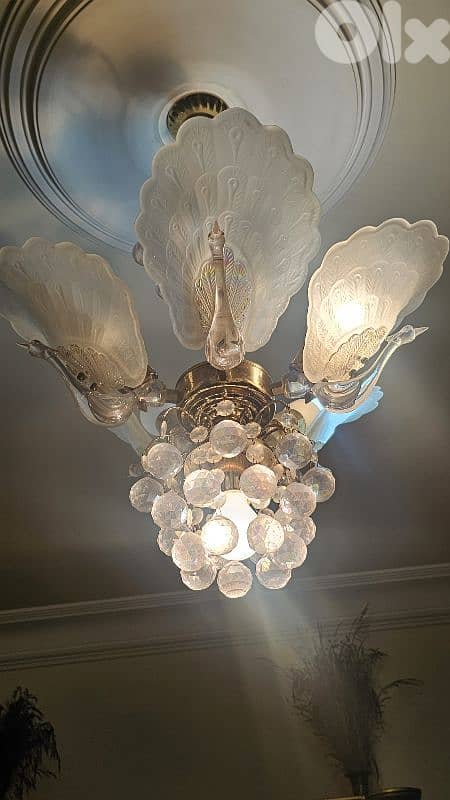 elegant dining room , طقم سفرة 8