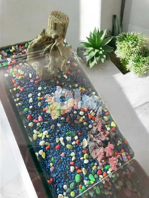 Aquarium - اكواريوم 0