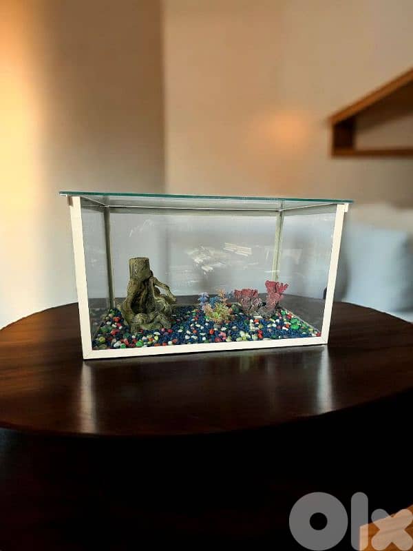 Aquarium - اكواريوم 1