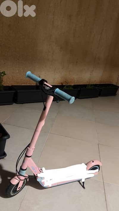 electric scooter ninebot zing E8