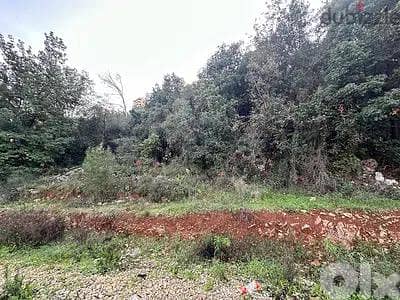 land for sale 3