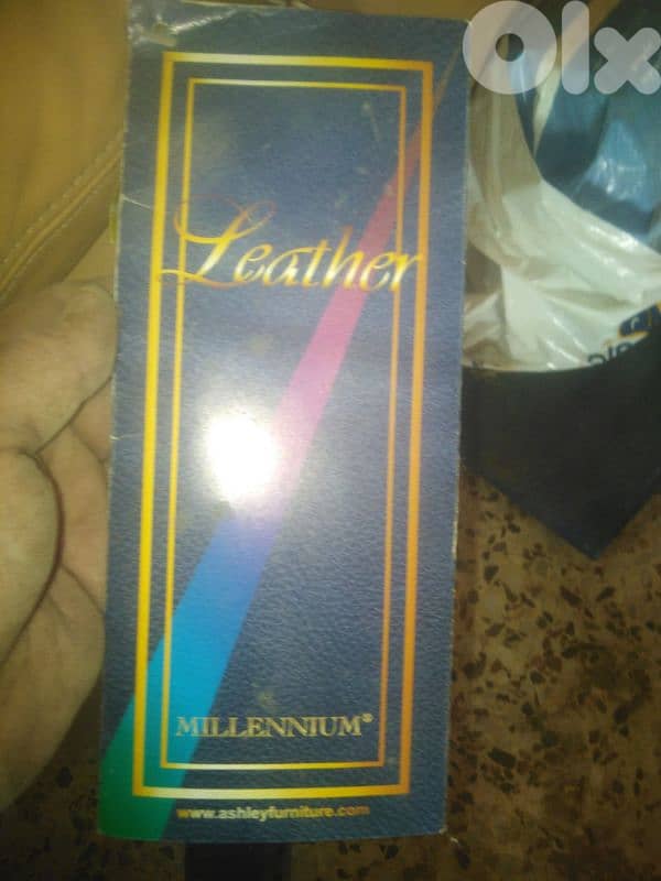 غرفة قعدة جلد 4