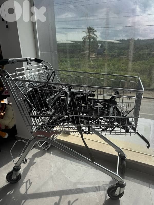 shopping  stroller 1