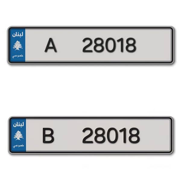 2 Plate Number For Sale (28018 A & B) 0