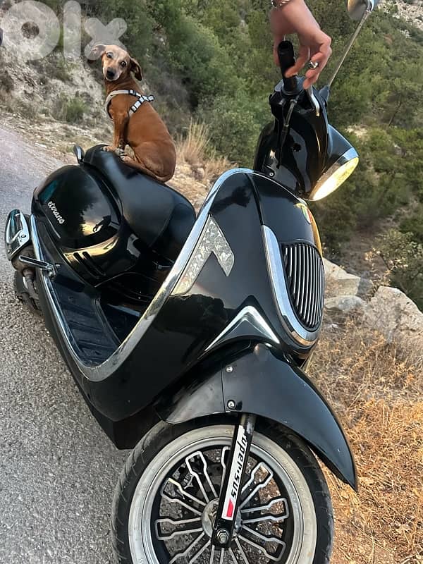 Veterano 150 for sale 0