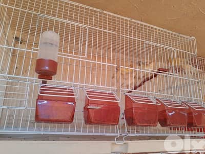 عرض خاص و عرض جنوني تكسير و تدمير أسعار لمدة يومين فقط ٤٨ ساعة