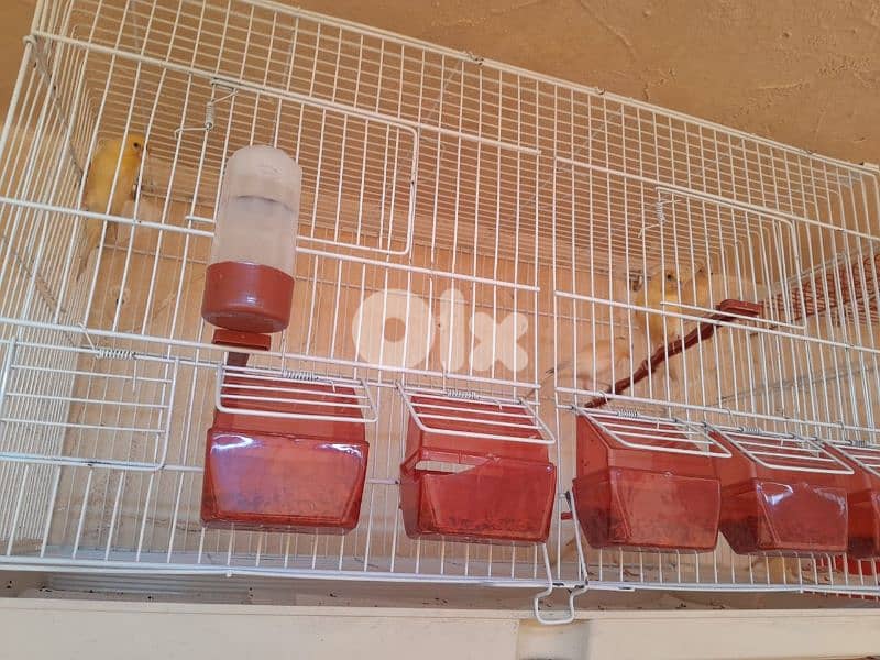 عرض خاص و عرض جنوني تكسير و تدمير أسعار لمدة يومين فقط ٤٨ ساعة 1