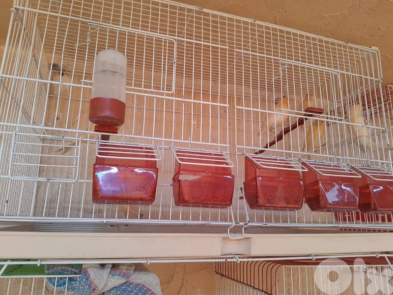 عرض خاص و عرض جنوني تكسير و تدمير أسعار لمدة يومين فقط ٤٨ ساعة 2