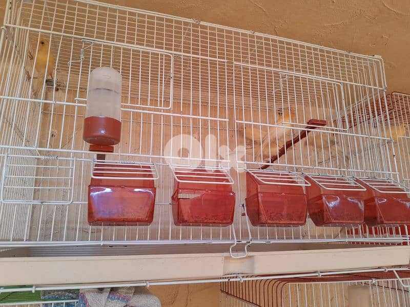 عرض خاص و عرض جنوني تكسير و تدمير أسعار لمدة يومين فقط ٤٨ ساعة 3