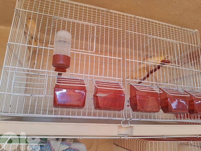 عرض خاص و عرض جنوني تكسير و تدمير أسعار لمدة يومين فقط ٤٨ ساعة 4