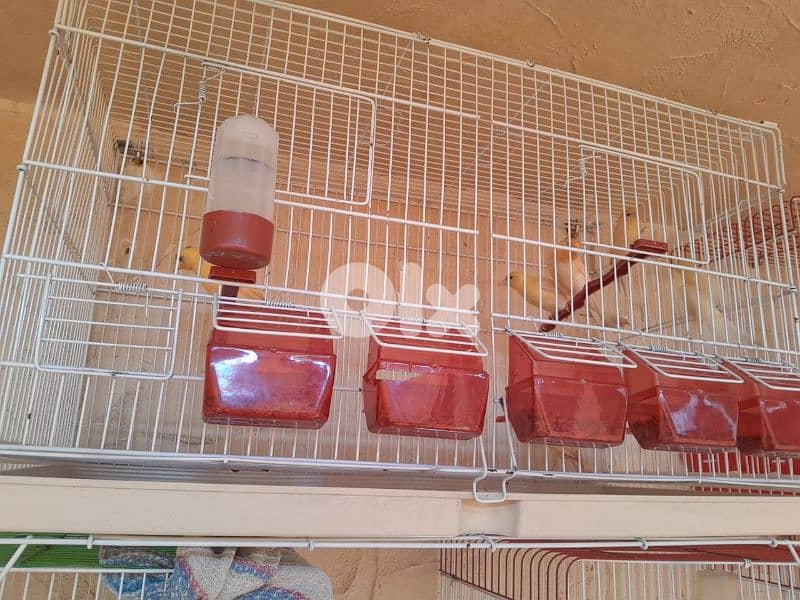 عرض خاص و عرض جنوني تكسير و تدمير أسعار لمدة يومين فقط ٤٨ ساعة 5