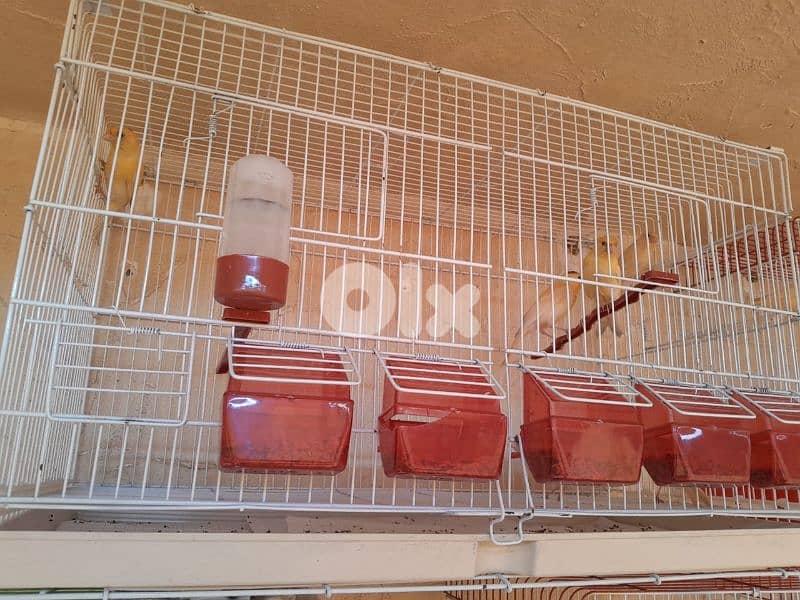 عرض خاص و عرض جنوني تكسير و تدمير أسعار لمدة يومين فقط ٤٨ ساعة 7