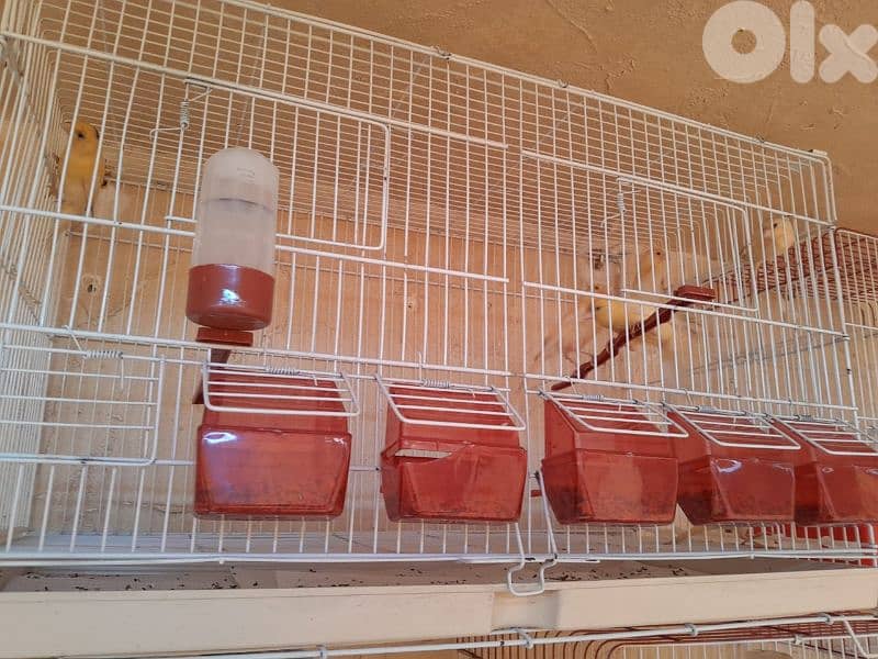 عرض خاص و عرض جنوني تكسير و تدمير أسعار لمدة يومين فقط ٤٨ ساعة 8