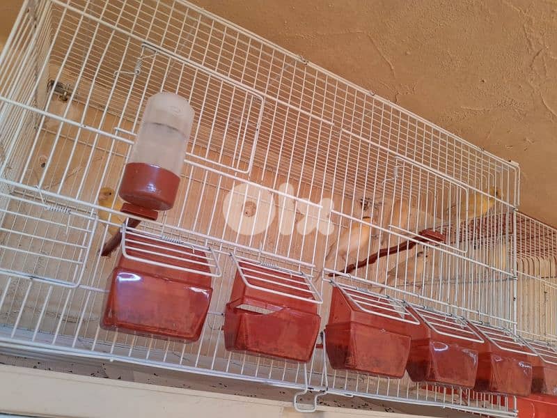 عرض خاص و عرض جنوني تكسير و تدمير أسعار لمدة يومين فقط ٤٨ ساعة 10