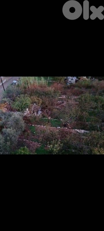 Nice piece of land . asphalt Road on its border. water . electricity