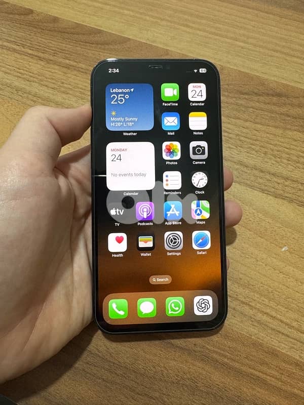 iphone 12 pro max 256 1