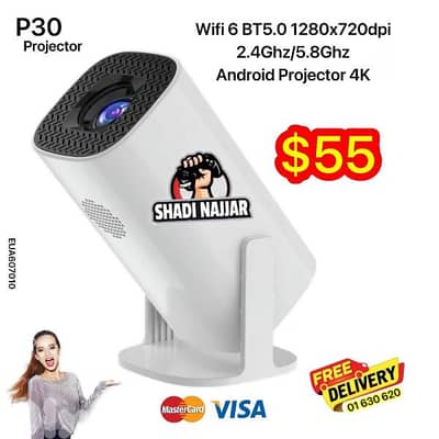 projector  p30