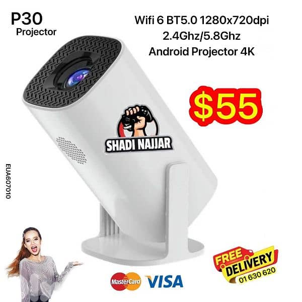projector  p30 0