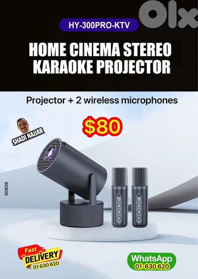Projector + 2 wireless microphonesLMK