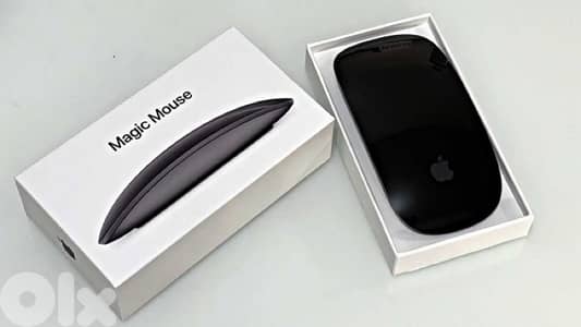 apple magic mouse 2