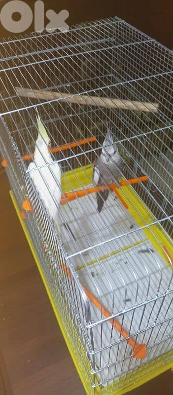 بيروت بئرحسن 2