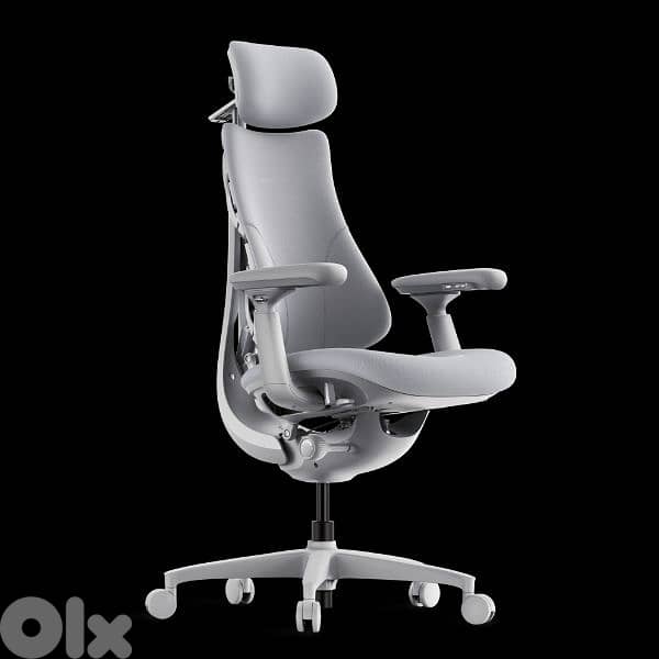 Ergonomic chair 2