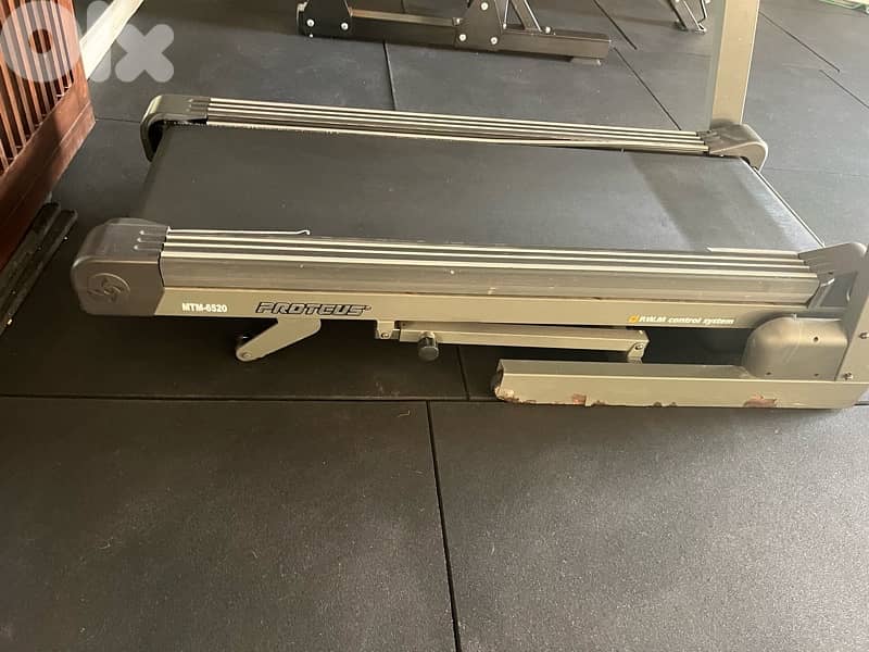 treadmill + eleptical 5