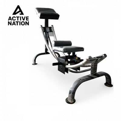 Commercial Ab Coaster