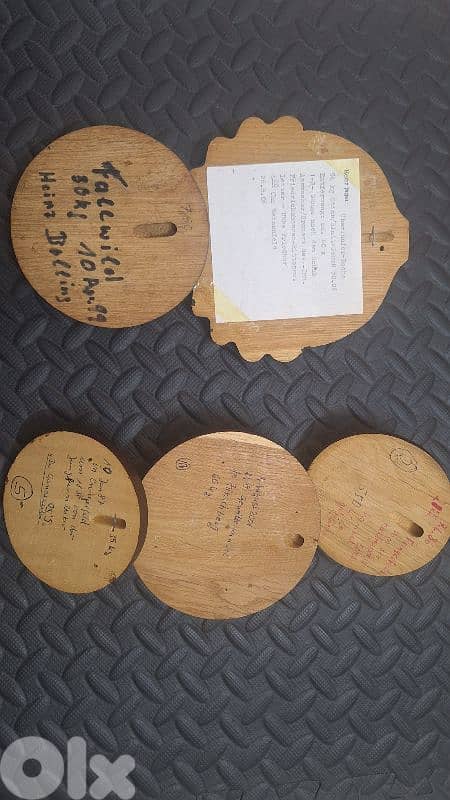 انياب خنازير اوروبي 1