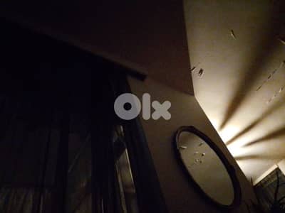 مطلوب كلب صغير في السن والحجم للتبني