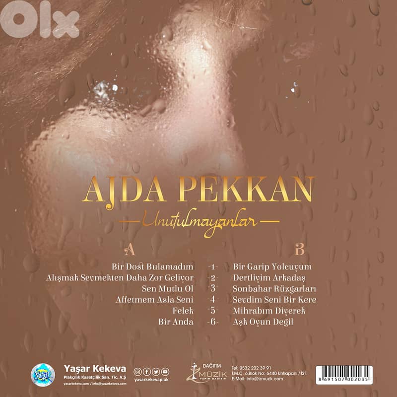 Ajda Pekkan ( RARE EDITION ) 1