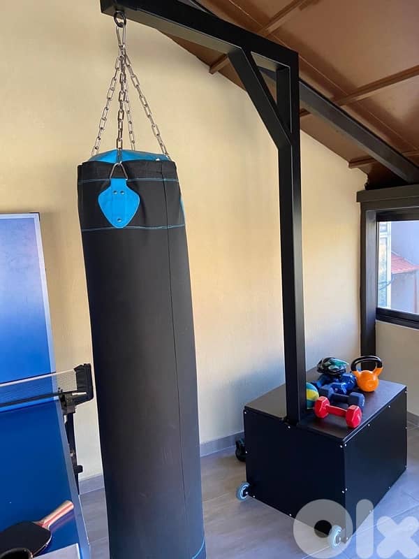 Elliptical Machine & Boxing  PROFESSIONAL 3